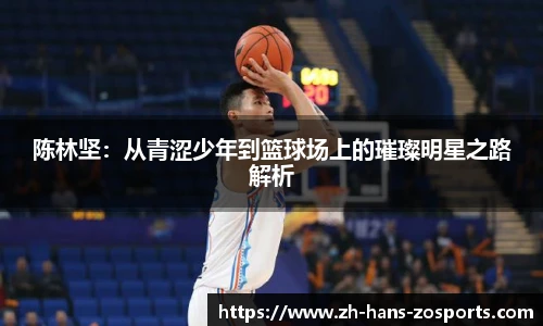 中欧体育官方网站