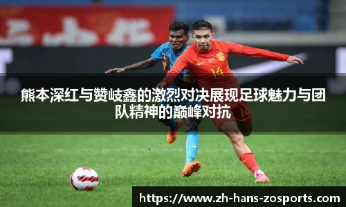 中欧体育官方网站